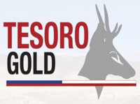 Tesoro Gold Limited logo